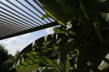 Bioclimatic pergola seen from below with vegetation zoom on adjustable slats